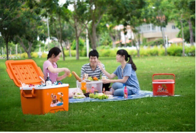 Thùng đá Duy Tân 45 lít