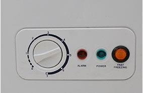 Tủ đông Alaska BD-400C - 400L, 1 ngăn đông