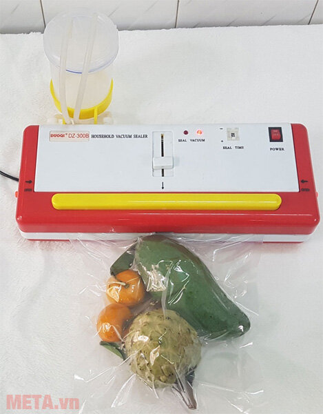 Máy hút chân không DZ300B