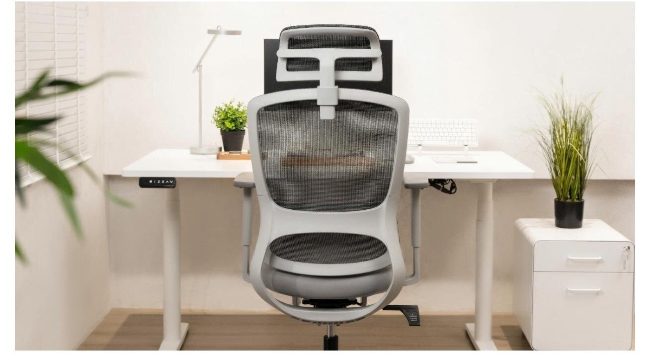 Ghế công thái học GAMI Focus V1 Grey (Lưng lưới, đệm) 3