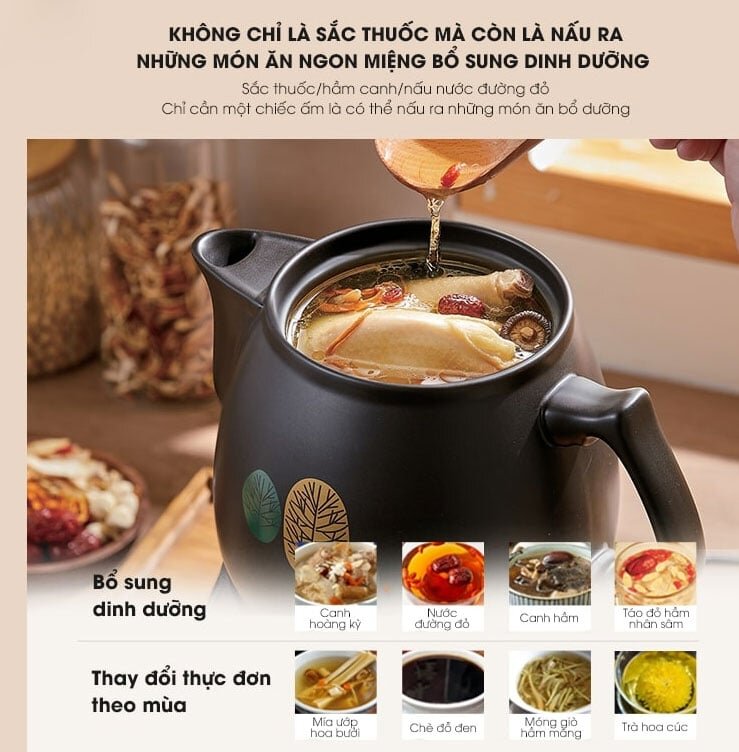 Ấm sắc thuốc điện