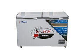 Tủ Đông Alaska 650L HB 650C