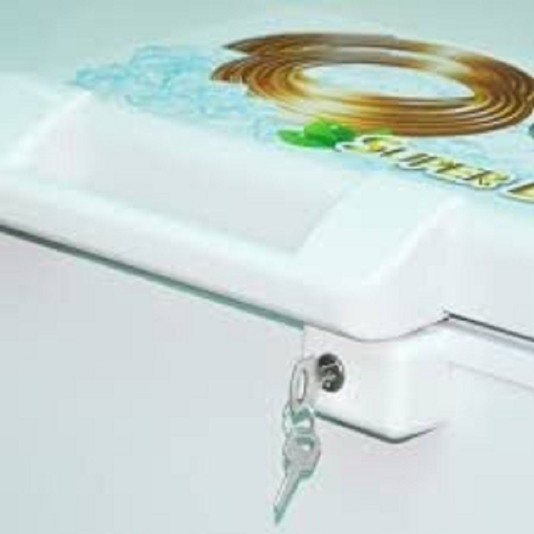 Tủ đông Nishu 2 ngăn 300 lít NTD-388 Tủ đông Nishu 2 ngăn 300 lít NTD-388