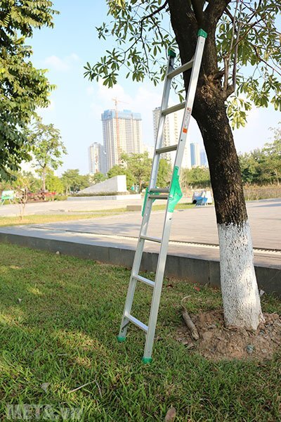 Thang nhôm gấp Nikawa NKY-4C