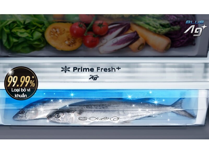 Một trong những điểm nổi bật nhất của tủ lạnh Panasonic NR-BX471WGKV là ngăn đông mềm Prime Fresh+
