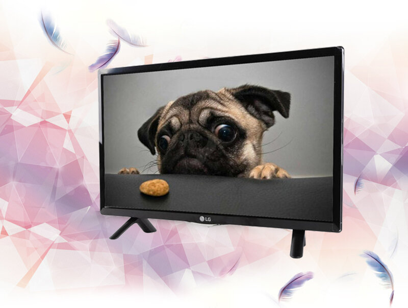 Tivi LG 24 inch 24LF450D