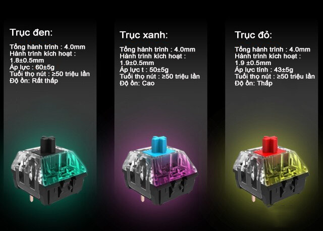 Bàn phím cơ không dây Newmen GM335 Dual Mode Blue sw (USBC/RGB/Pin sạc) 3