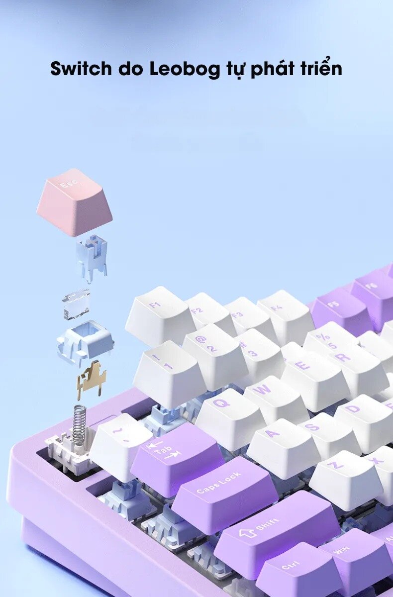 Bàn phím cơ LEOBOG Hi98 (Trắng / White dragon switch) 14