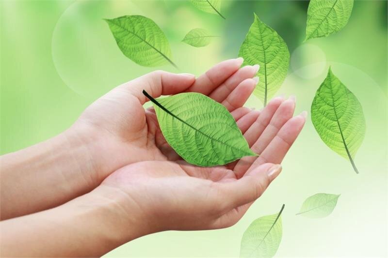 Máy in Phun đen trắng Epson M1100 (In)