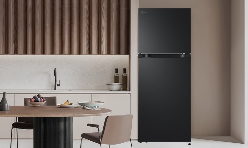 Tủ Lạnh LG Inverter 217 Lít LTB21BLMI