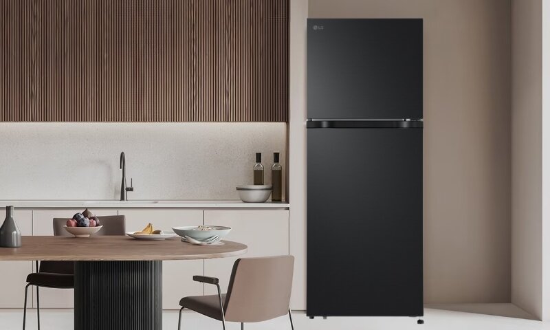 Tủ Lạnh LG Inverter 217 Lít LTB21BLMI