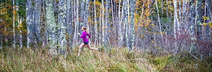 Đồng hồ thông minh Fenix 5s, Carrara White, VN