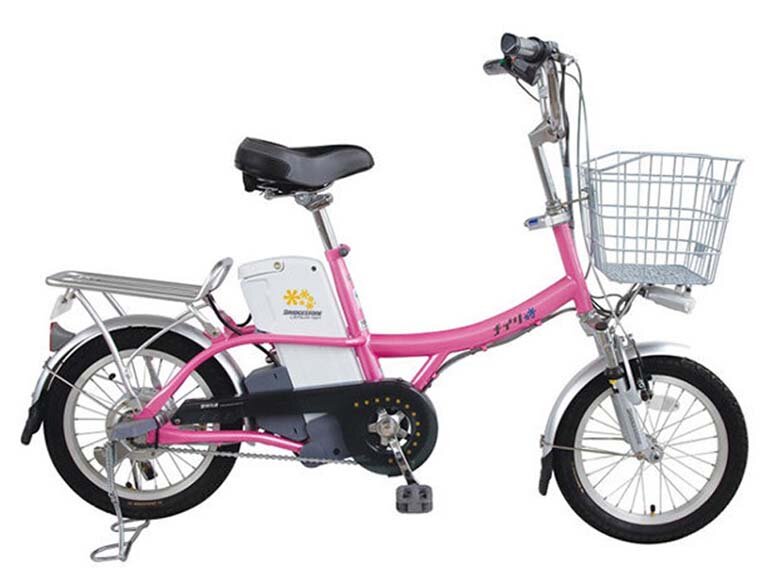 Xe đạp điện BridgeStone PKB16