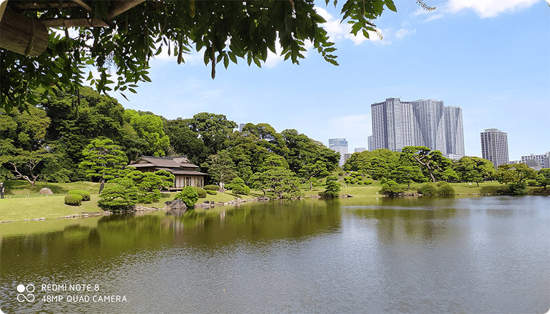 Điện thoại Xiaomi Redmi Note 8 (3GB/32GB)