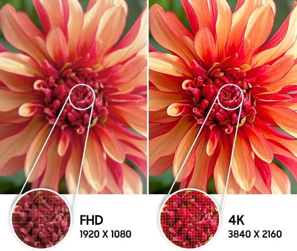 Hình ảnh chân thực, sống động nhờ độ phân giải 4K