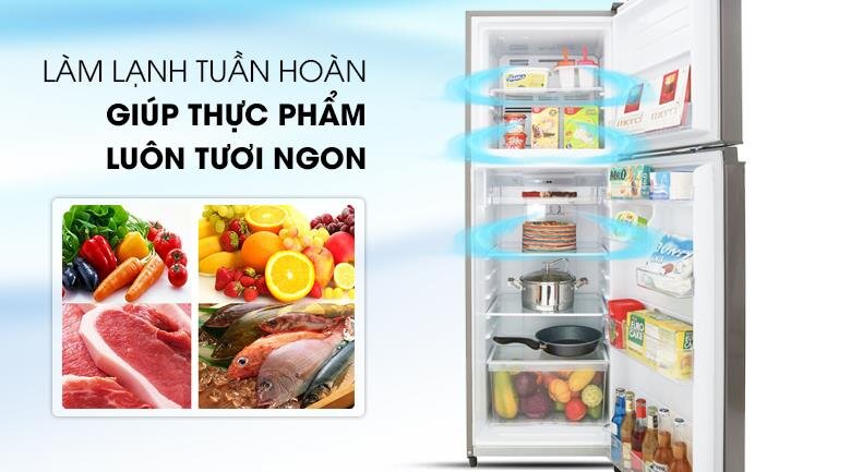 Tủ lạnh 2 cánh Inverter Toshiba GR-A28VS(DS) - 226 Lít