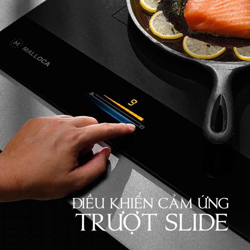 Bếp từ đôi Malloca Skylux MH-802