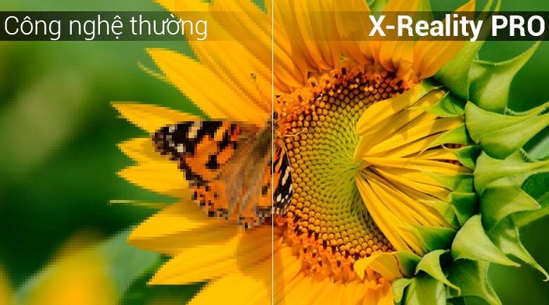 Smart Tivi Sony 49 inch 49W800F, Android 7.0, HDR, MXR 200 Smart Tivi Sony 49 inch 49W800F, Android 7.0, HDR, MXR 200