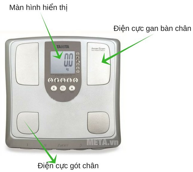 Cân sức khỏe và phân tích cơ thể BC-541