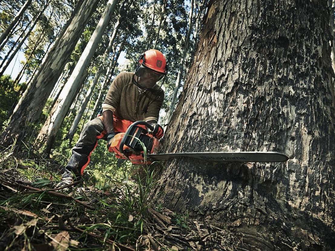 Husqvarna 390 XP có công suất lớn Husqvarna 390 XP