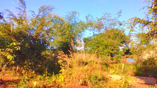 Điện thoại Wing Hero 40i Điện thoại Wing Hero 40i