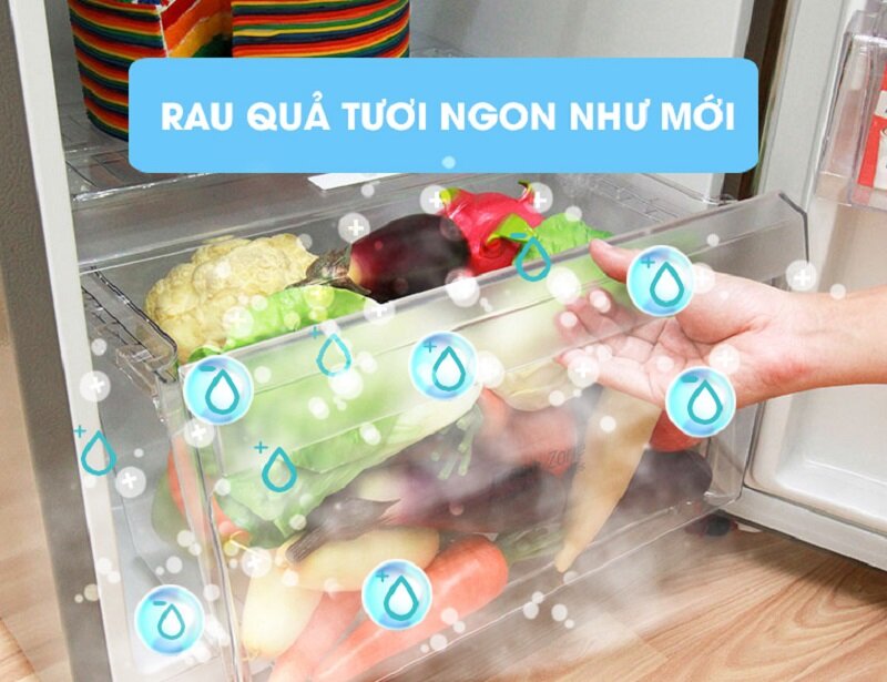 Tủ lạnh LG 189 lít GN-L205PS Tủ lạnh LG 189 lít GN-L205PS