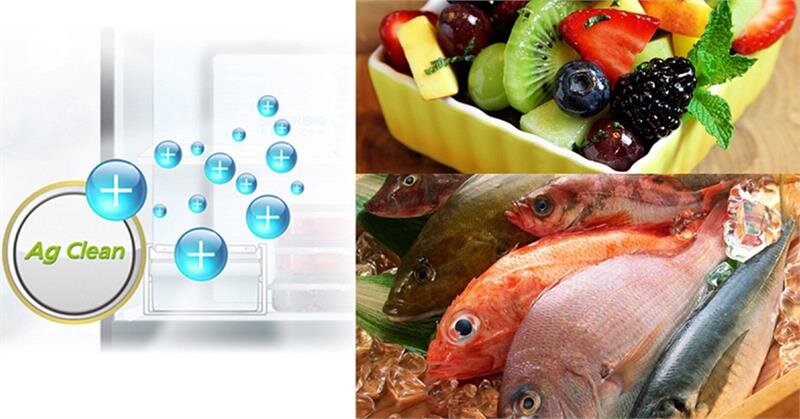 Tủ lạnh 3 cánh Inverter Panasonic NR-CY558GSV2 491 Lít