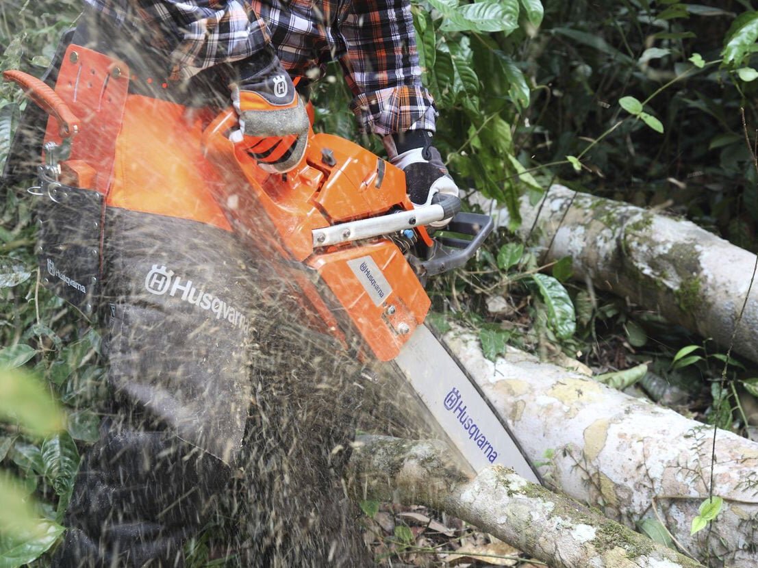 Máy cưa xích cắt thân cây lớn dễ dàng Máy cưa xích