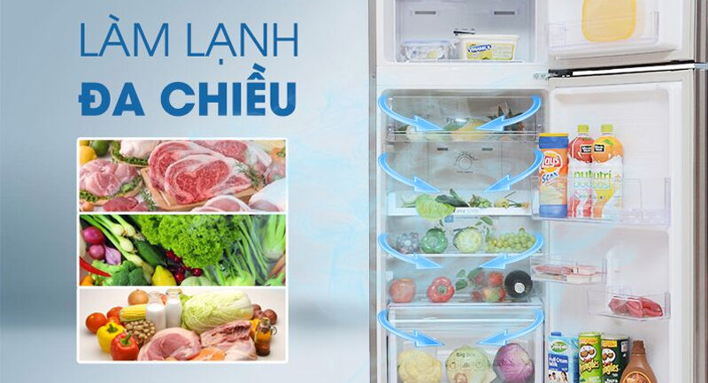 Tủ lạnh 2 cửa Samsung RT22M4032DX/SV