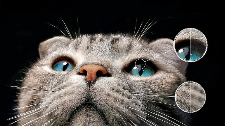 Google Tivi QLED TCL 4K 55 inch 55C645 Google Tivi QLED TCL 4K 55 inch 55C645