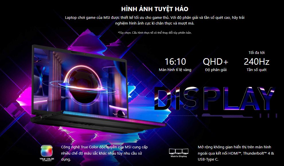 Laptop MSI Gaming GE78 HX Raider (13VH -076VN)