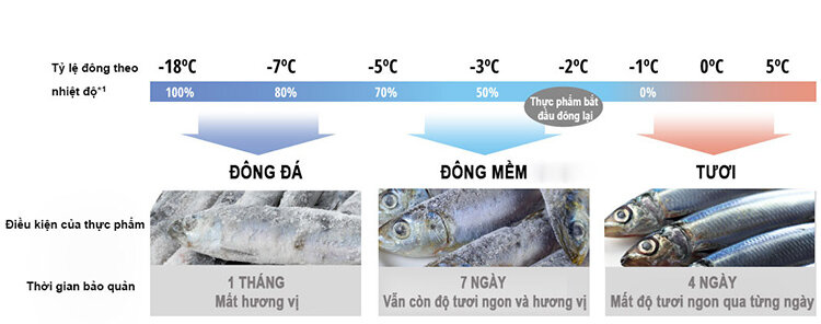 Tủ lạnh 4 cánh Inverter Panasonic NR-DZ600GKVN 550 Lít