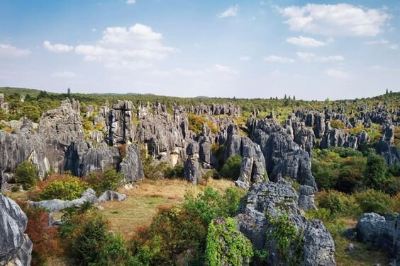 chụp ảnh Huawei P40