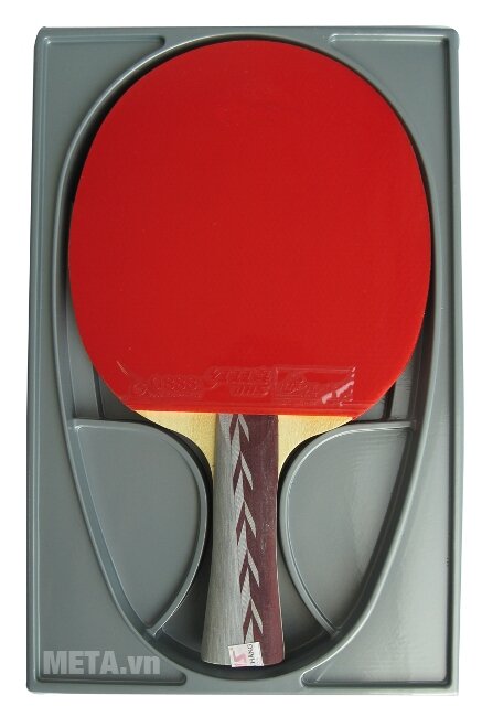 Vợt bóng bàn mút DHS-4002