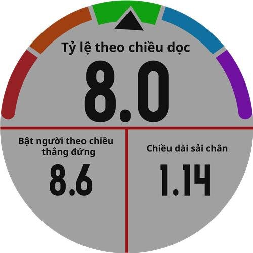 Đồng hồ thông minh Fenix 5x, Sapphire Slate Gray, VN