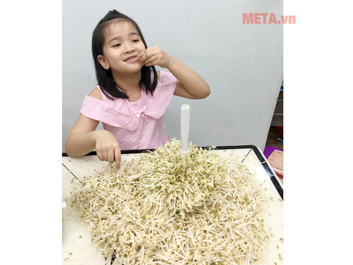 Máy làm giá đỗ sạch đa năng GV-102 - Tự động (new T4.2019)