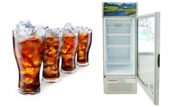 Tủ mát Sanaky 308L VH - 308K