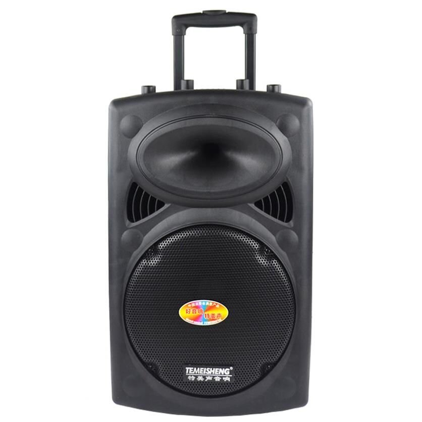 Loa vali kéo Temeisheng DP 107 Loa vali kéo Temeisheng DP 107