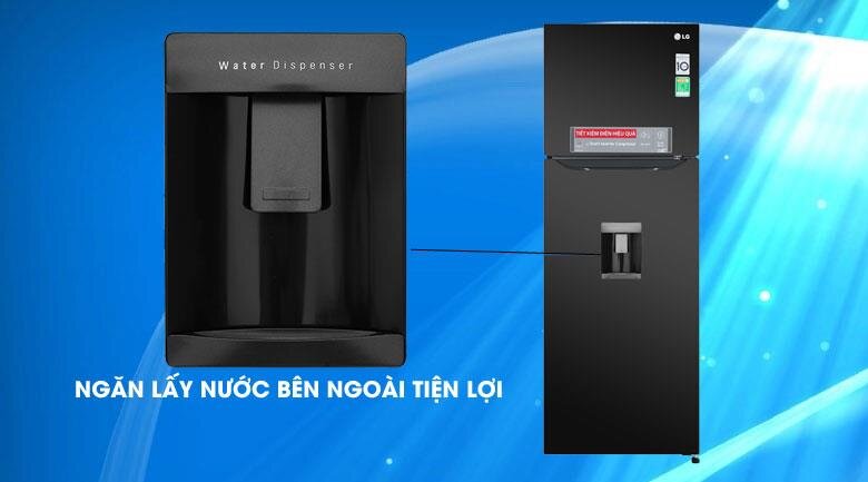 Tủ lạnh LG GN-D315BL - 315 Lít Linear Inverter