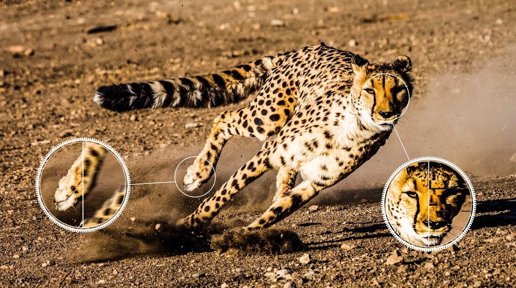 Google Tivi QLED TCL 4K 65 inch 65C69B - Ai-Motion Google Tivi QLED TCL 4K 65 inch 65C69B - Ai-Motion