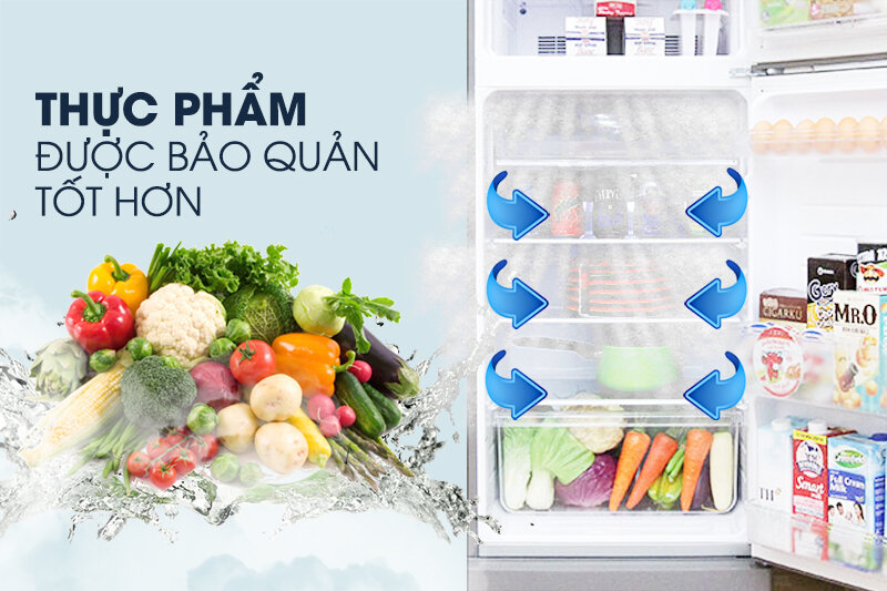 Tủ lạnh Sharp 180 lít SJ-197P