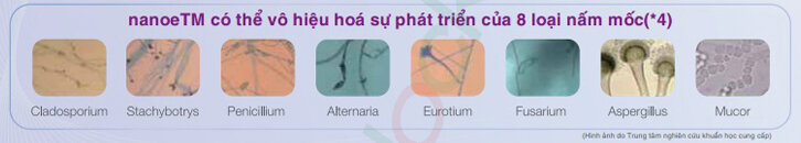 Máy lọc không khí Panasonic FPXF35A (F-PXF35A) - Màu A/ B