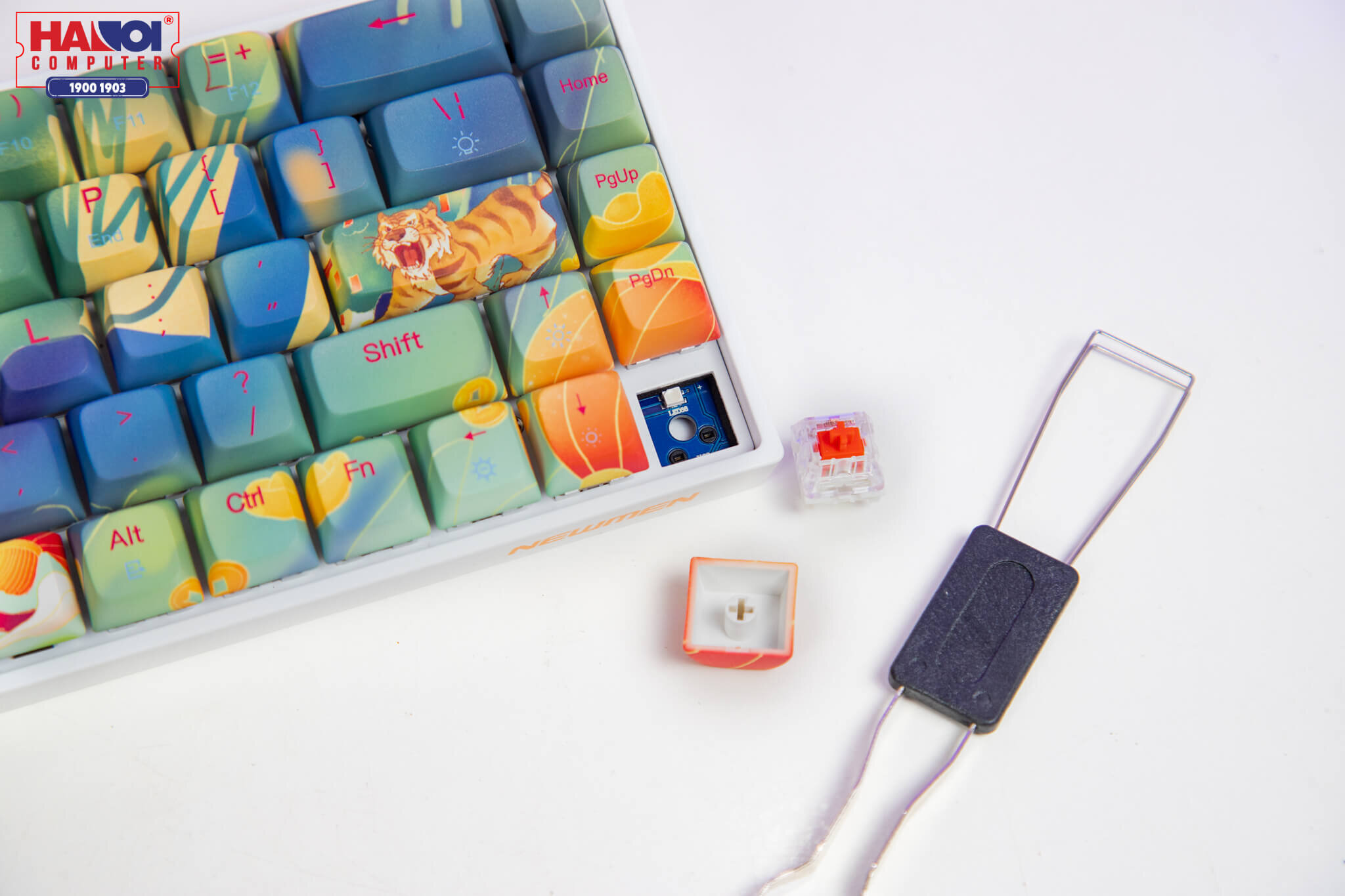 Bàn phím cơ không dây Newmen GM680 Dual Mode Jungle Red sw (USB/Bluetooth) 5