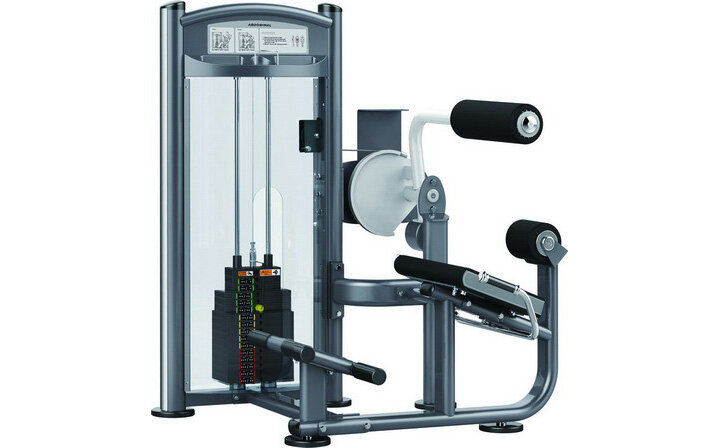 Máy tập sống lưng Impulse IT9332