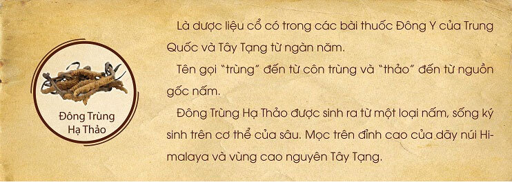 Thực phẩm chức năng bảo vệ sức khỏe Beta Glucan Ball 60g - Khắc tinh tế bào ung thư