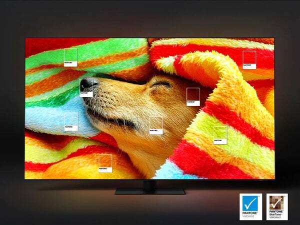 Khả năng tái tạo màu chuẩn PANTONE cho sắc màu rực rỡ Khả năng tái tạo màu chuẩn PANTONE cho hình ảnh có sắc màu rực rỡ