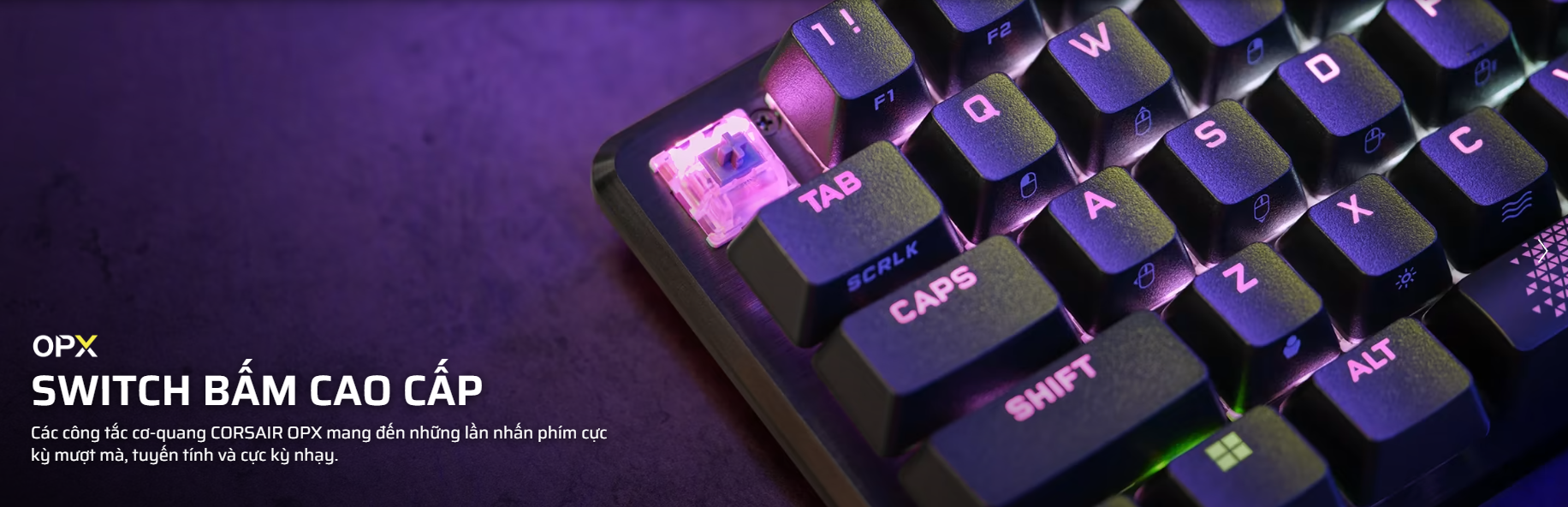 Bàn phím gaming Corsair K65 PRO MINI RGB OPX (CH-91A401A-NA) 5