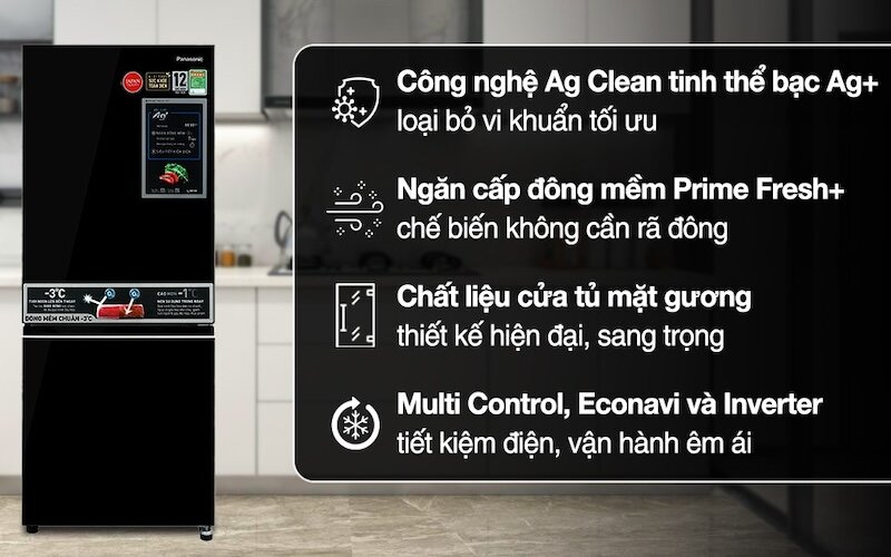 Tủ lạnh Panasonic Inverter 2 cánh 255 Lít NR-BV281BGMV