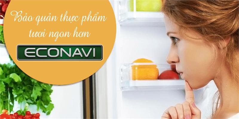 Tủ lạnh Panasonic NR-BV368GKV2 - 322Lít Inverter Cấp đông mềm