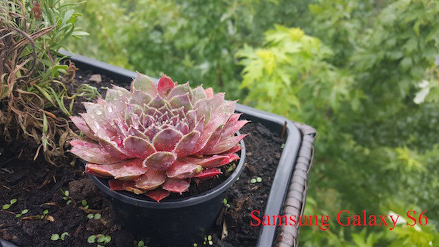 Điện thoại Wiko Rainbow Lite